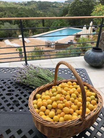 Idyllic French Farmhouse Les Assions Bagian luar foto
